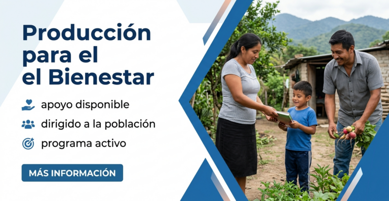 Lee más sobre el artículo Producción para el Bienestar